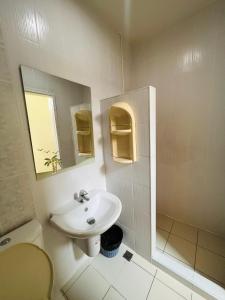 罗勇Aekkalukthai Hostel Rayong的一间带水槽、卫生间和镜子的浴室
