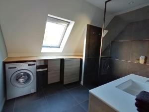 斯特拉斯堡Spacieux loft en duplex的一间带洗衣机和水槽的浴室