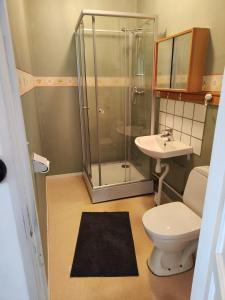 卢德维卡Living Ludvika的带淋浴、卫生间和盥洗盆的浴室