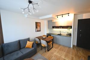 兹拉蒂博尔Tasa Apartmani的带沙发和桌子的客厅以及厨房。