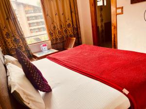 马拉里WooibHotels The Solitaire的一间卧室配有一张带红色毯子的床和窗户。