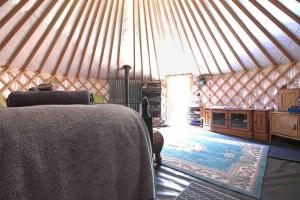 SturryMagical Forest yurt的蒙古包内一间卧室,配有一张床