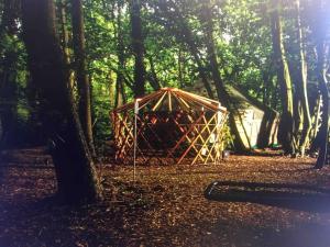 SturryMagical Forest yurt的森林中间的帐篷