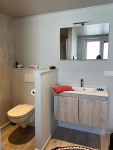 布鲁日MORI的一间带水槽、卫生间和镜子的浴室