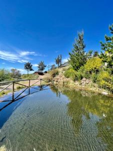 丰沙尔Mountain Eco Shelter 5的一座桥,在河上,有树在后边