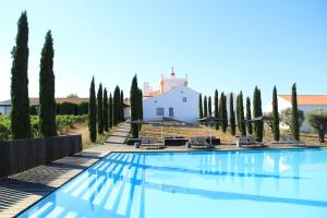 蒙福尔特Torre de Palma Wine Hotel, Montforte, a Member of Design Hotels的树木繁茂的别墅前的游泳池