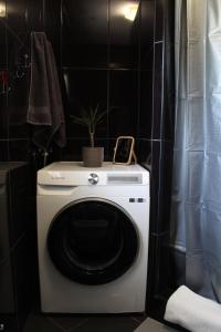 波雷奇Vacation house ''CASA TERRA''的浴室内有一台带植物的洗衣机