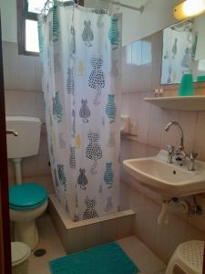 阿吉亚玛丽娜阿耳特弥斯客房酒店的一间带卫生间和淋浴帘的浴室