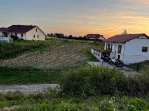SantokWinnica pod Skrzydłami的一座农场,有房子和葡萄园