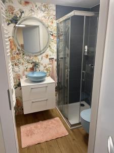 SantokWinnica pod Skrzydłami的浴室配有盥洗盆和带镜子的淋浴