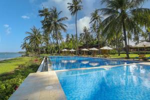 外南梦Villa SoLong Banyuwangi的一座棕榈树和海洋游泳池
