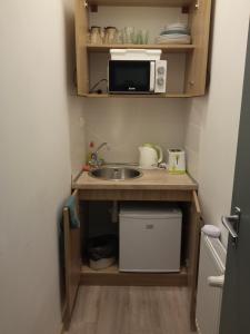 埃格尔Cherry II Apartman的一间带水槽和微波炉的小厨房