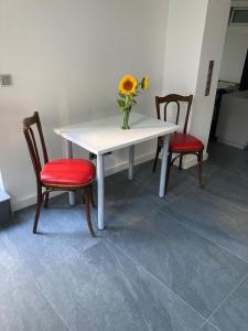 杜塞尔多夫Schickes Apartment in Düsseldorf- Flehe的一张桌子,两把椅子和一个带向日葵的花瓶