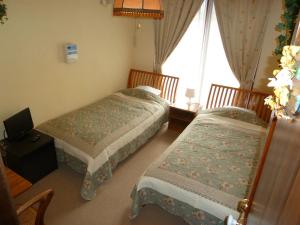 山中湖村常春藤酒店的酒店客房设有两张床和窗户。