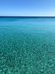 蒙德罗Mondello Blue Sea的一大片有珊瑚礁的清澈蓝色的水