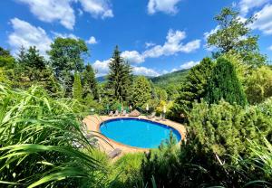 弗尔赫拉比Pension Imlauf的花园中的一个游泳池