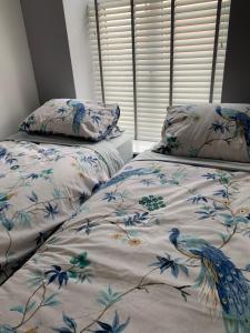 FarnworthThe Greens Apartment的一间卧室配有两张床,配有鸟图案的床单