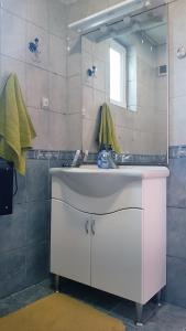 贝洛格拉奇Дионея的一间带水槽和镜子的浴室