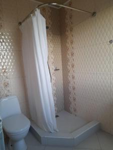 AshtarakYeganyans Guest House and Wine Yard的浴室设有卫生间和带浴帘的淋浴。