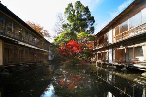 伊豆新井旅馆 的一座红树建筑前面的一个池塘