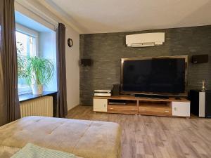 FreisenFerienwohnung Grüner Flamingo的卧室配有带梳妆台的平面电视