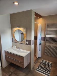 布莱德Vila Rajska ptica的一间带水槽、镜子和淋浴的浴室