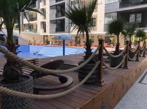 北马马亚-讷沃达里Apartament 105 - HF Building Resort的一个带绳子和棕榈树的木甲板