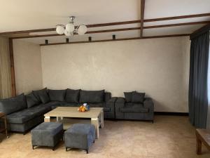 萨克德佐尔镇Tsaghkadzor Villa的客厅配有沙发和桌子