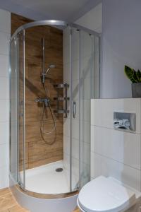 比得哥什Apartament Graniczna 6B的浴室内带卫生间的淋浴间