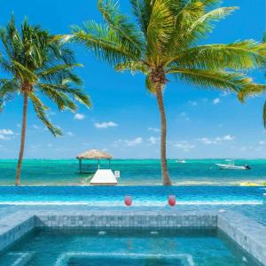 浮木村Luxury Cayman Villas的一座棕榈树和海洋游泳池