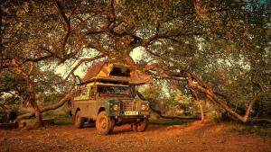 楚梅布ZuriCamp - Campsite Halishi的停在树下土路上的卡车