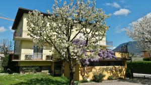 卡尔切拉尼卡阿拉戈Casa Ferrari Monica CIPAT 22032的前面有一棵开花的树的房子