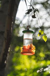特雷利乌蜂鸟自然小屋住宿加早餐旅馆的挂在树上的橙色和白色的鸟食