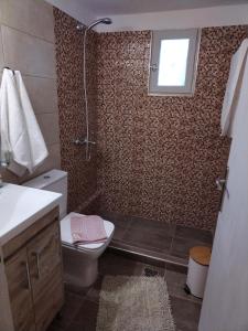 Litsa's House Platanias的一间浴室