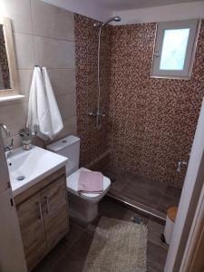 圣帕拉斯凯维Litsa's House Platanias的浴室配有卫生间、盥洗盆和淋浴。