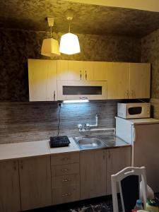 Kursumlijska BanjaKursumlijska banja apartman 4+1的厨房配有水槽和微波炉