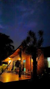乌巴图巴Hostel Trópico de Capricórnio - Vermelha do Centro的夜晚在房子前面有一棵棕榈树