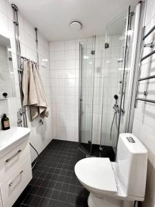 赫尔辛基Studio Mansku的带淋浴、卫生间和盥洗盆的浴室