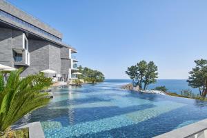 西归浦市JW Marriott Jeju Resort & Spa的毗邻一座海洋建筑的游泳池