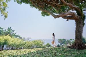 西归浦市JW Marriott Jeju Resort & Spa的站在树旁的山坡上的女人