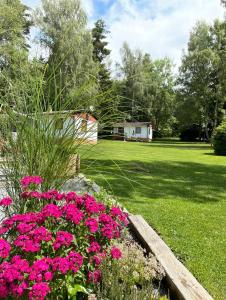 霍尼普拉纳Retro chatky Hůrka Lipno的院子里种着粉红色花的花园