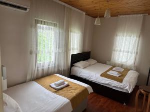 特拉布宗Sea & Nature Villa Hisar的一间卧室设有两张床和窗户。
