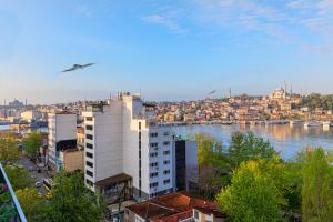 伊斯坦布尔Csk The Halich Port İstanbul的享有河流和建筑的城市美景