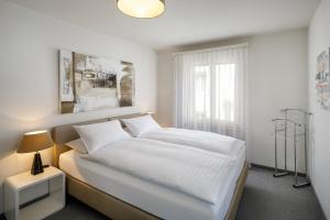 苏黎世施密特家庭酒店的一间卧室配有一张带白色床单的床和一扇窗户。