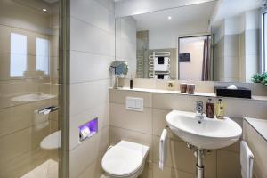 苏黎世施密特家庭酒店的一间带水槽、卫生间和镜子的浴室