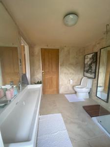 切尔滕纳姆Zen Cottage, Cheltenham的带浴缸和卫生间的大型浴室