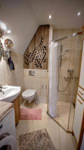 格但斯克St Nicolas Attic的带淋浴、卫生间和盥洗盆的浴室