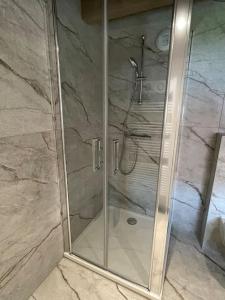 RhinauGîte à 10 min d'Europa-park的浴室里设有玻璃门淋浴