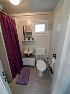 巴比诺波尔杰Apartments Dalamar的一间带卫生间和水槽的浴室