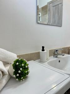 圣特奥多罗Appartamento La Conchiglia a pochi passi dal centro的一个带水槽和台面植物的浴室